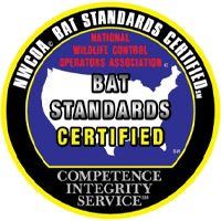
					Bat Standards