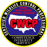 CWCP